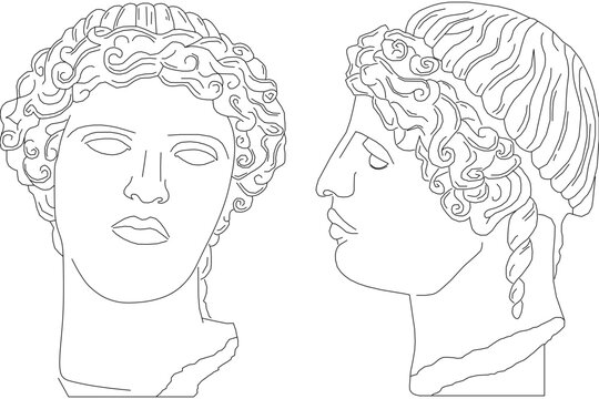 Classical vector line art featuring a male head statue or ancient sculpture with curly hair and braids, shown from front and side profile views.
