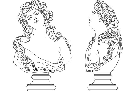 Classical vector line art featuring a female bust statue adorned with grape clusters, leaves, and flowing hair, shown from front and side profile views on pedestal bases.