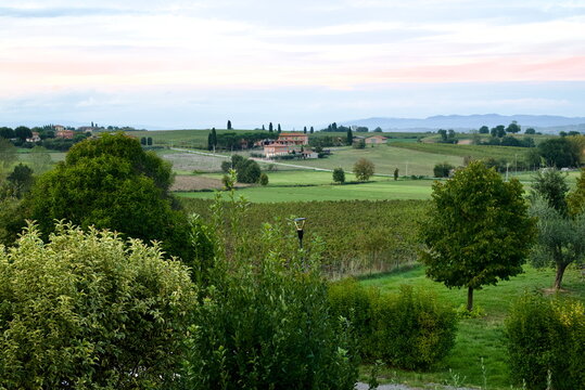 Wide panoramic view over Tuscan vineyards and distant village at sunset, Italy, travel background