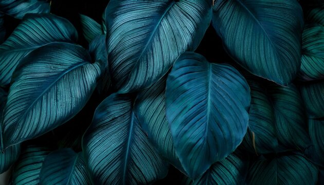 dark colored leaves background moody leaves background still life photography of teal plant high angle view selective focus included