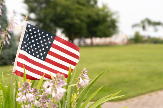 American flag displayed among blooming flowers with a lush green park in the background. Patriotic outdoor scene ideal for Independence Day, Memorial Day, Veterans Day, and national pride themes.