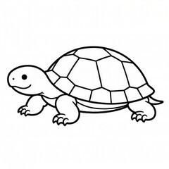 Fototapeta premium Tortoise