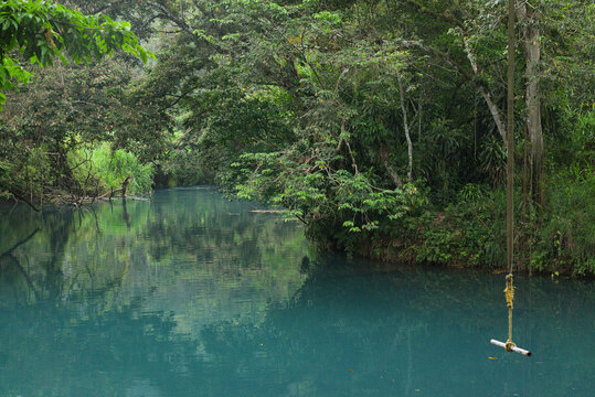 Hidden paradise swimming hole with a rope swing and dense green jungle foliage