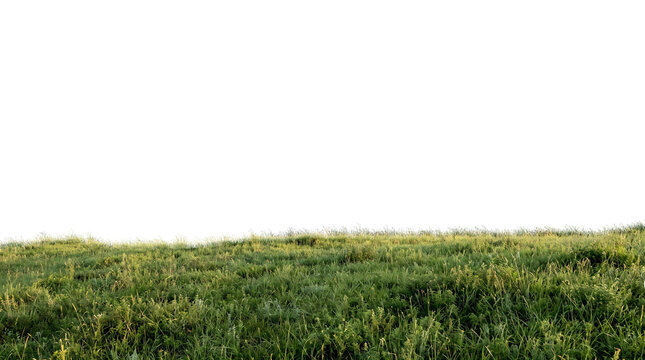 Lush green grass meadow for nature and environment concepts isolated on transparent background