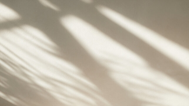 Natural Shadow Overlay on Beige Minimalist Wall Background