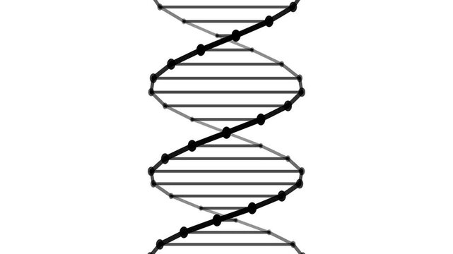 Minimalist Black DNA Helix Rotating On White Background