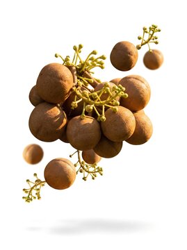 Bunch of fresh kepel fruits levitating on white background