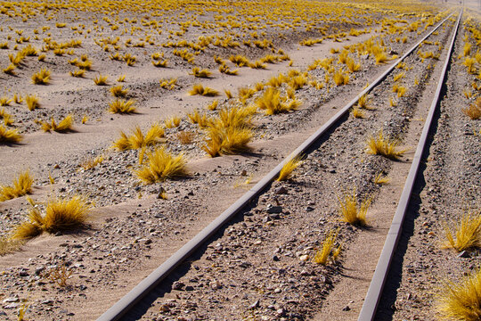 Vias en La Puna Salte&ntilde;a