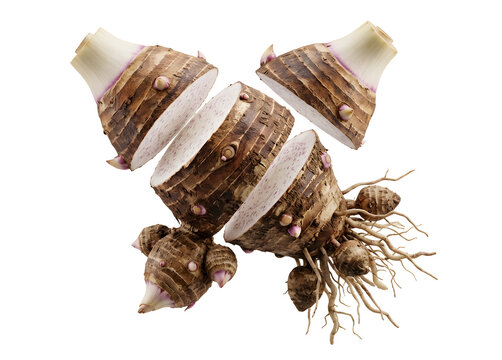 Scientific 3D Render of Sliced Taro Root Cross-Section Isolated on White Background