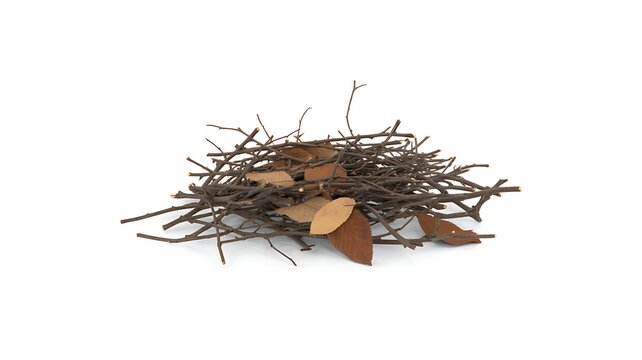 A Small Decorative Pile of Natural Dried Tree Twigs and Fallen Brown Leaves Isolated on White