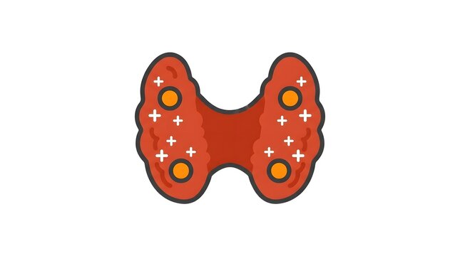 Flat vector illustration of human thyroid gland with parathyroid glands isolated on white background.