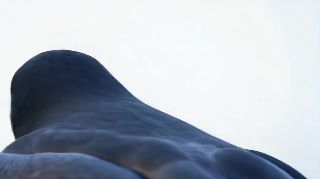 A sleek falcon soaring through the sky with its wings outstretched and yellow eyes focused ahead.