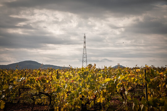 Panoramic view of an electricity pylon and power lines rising above an autumn vineyard in La Crau, Var, France, within the Cotes de Provence wine-producing landscape under dramatic cloudy skies.