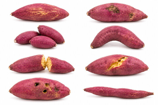 Imperfect Sweet Potatoes, Various Shapes and Sizes さつまいも 訳あり 家庭用