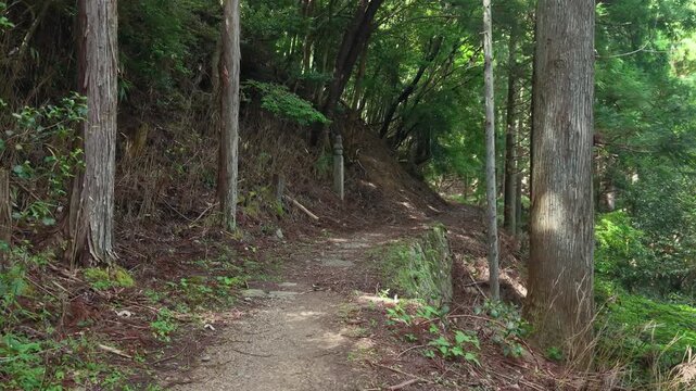 POV Walking Shot on the Choishi-michi Pilgrimage Trail at the 35th Stone Marker, Koyasan, Wakayama, Japan　主観移動撮影・高野参詣道 町石道「35町石」和歌山県高野町