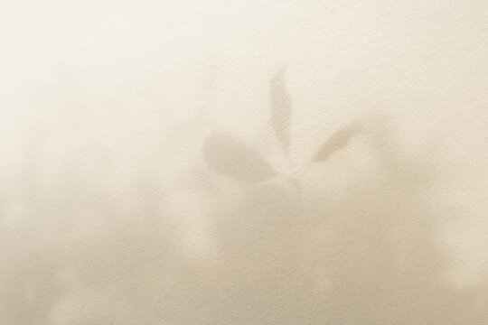Leaf shadow and light beige background. Nature tropical leaves plant and tree branch shade with sunlight on wall texture for background wallpaper and design, shadow overlay effect
