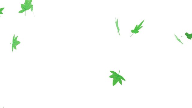 舞いながら落ちる紅葉のアニメーション　銀杏　もみじ　