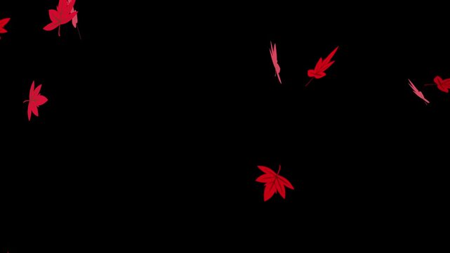 舞いながら落ちる紅葉のアニメーション　銀杏　もみじ　