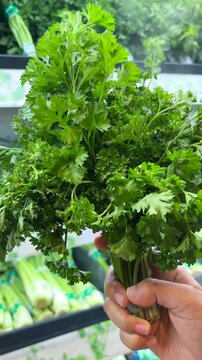Celery with a video playing. Close-up video.