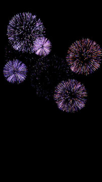Multiple Purple and Multi-Color Fireworks Displays on Isolated black background.