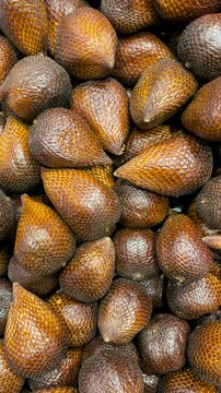 Snake fruit harvest. A pile of fresh salak fruit with glossy brown skin. 