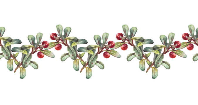 Watercolor seamless border with hand-drawn red berry lingonberry with green leaves on white background. Autumn summer food in forest. Sour sweet food with vitamin for kitchen. Wallpaper or wrapping