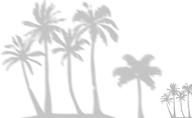 Naklejka premium Silhouette of tropical palm trees against white background for design and branding projects