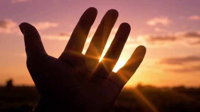 Silhouette of Hand Reaching Towards the Sun During Golden Sunset