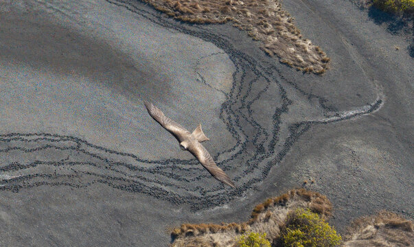 dried up lagoon in fare north Queensland with a kite flying through.