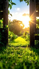 Fototapeta premium Sunlight streams through a wooden garden gate into a lush green path.