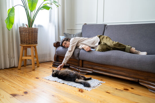 Positive peaceful woman lying on sofa interacting with beloved cat, living stress free and day break, calm female comfortably relaxing on sofa, idle lounge on weekend, laziness and procrastination.