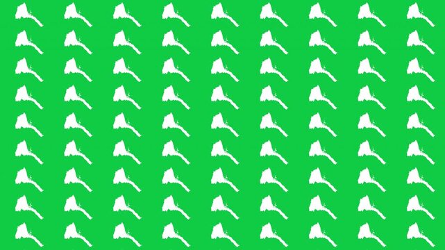 Eritrea map pattern scrolling perfect 15 second loop with green background