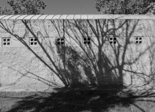 Shadow Patterns