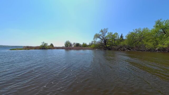 Fish jumps twice out of the water of lake with greenery on the side during bass opener.