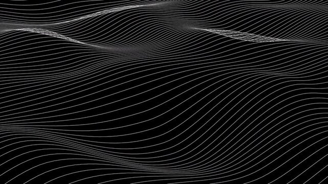 White Abstract Line Waves Undulating - Slow Seamless Loop Background
