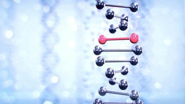 A captivating dna double helix model rotates with a red genetic mutation segment on glowing blue bokeh background creating dynamic science footage.
