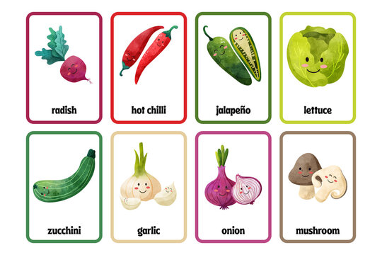 Vegetable flashcards collection featuring illustrated fresh produce with labeled names, vegetable