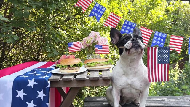 Cute dog at a patriotic outdoor celebration with American flags, burgers, and decorations. Symbolizes animal-friendly holidays. Perfect for American holidays and pet care content