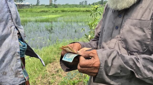 ​Close Up Of Farmer Receiving Cash Money Payment In Green Agricultural Field