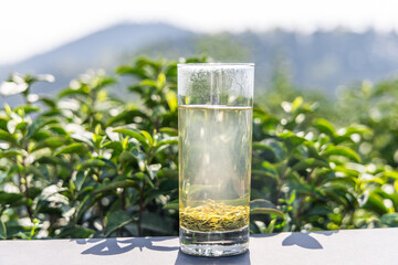 A tall transparent glass holds brewed green tea with tea leaves settled at the bottom, set against tea plants and distant mountains outdoors. © tai