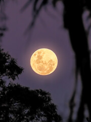 full moon © rina