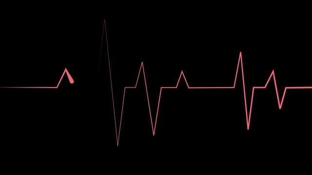 Minimal heartbeat line electrocardiogram style pulse health and medical concept animation