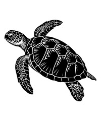 Fototapeta premium Detailed black and white illustration of a swimming sea turtle isolated on a white background