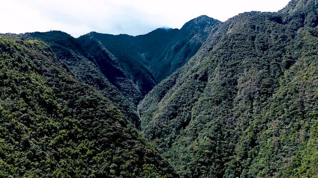 Aerial View of Tall Waterfall Dropping Through Dense Ecuador Rainforest, Green Cliff Vegetation, Remote Jungle Canyon and Scenic Nature Travel Landscape