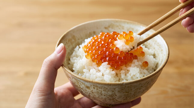 ご飯に乗ったいくらの醤油漬けを箸ですくい持ち上げる手元の素材 和食の食卓イメージ