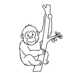 Cute orangutan climbing tree line art coloring page vector illustration © Seza