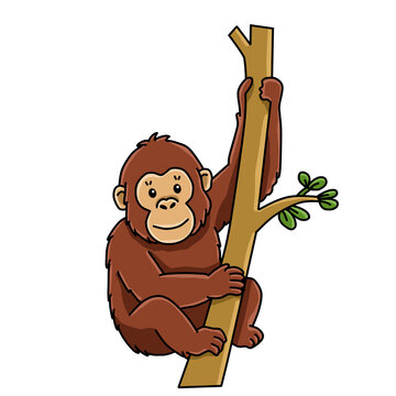 Cute orangutan climbing tree trunk wild ape vector illustration