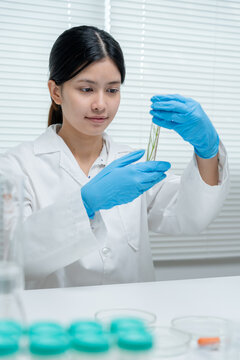 Environmental science, scientists examining plant genetics in test tubes, laboratory testing, laboratory experiments on green plants, testing for chemical residues, food safety.