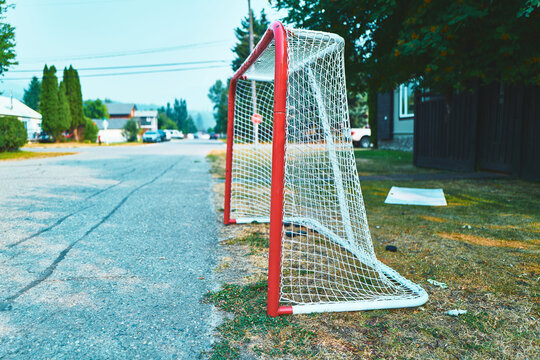 Hockey net on the edge of a residential street seen from the side