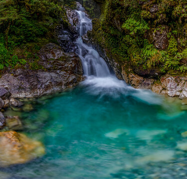 Christie Falls, kaskadenartiger Wasserfall stuerzt in tuerkisfarbenen Gumpen, umrahmt von bemoosten Felsen und dichtem Regenwald, Fiordland National Park, Southland, Suedinsel, Neuseeland